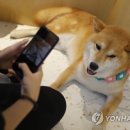 CATS TIME CAFE 이미지