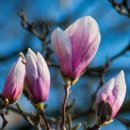 유카세탁 이미지