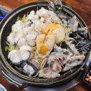 용궁복어 이미지