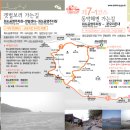 달림 Daum카페