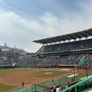 쌈빠강정 | [인천ssg 랜더스필드] 3루 응원지정석 32블럭 E열 7,8 좌석 직관 후기