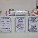 마루위의 고양이 네이버블로그