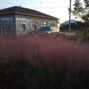 돌집조앤정 이미지