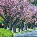 유엔기념공원주차장 이미지