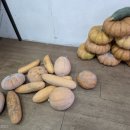 서울대공원 구내식당