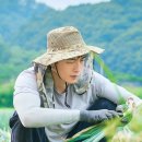 나의 해방일지 이미지