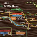 계명산나무숲길캠핑장 이미지