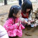 의당초교병설유치원 이미지