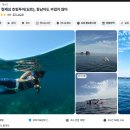 제주해양레저사계 | 형제섬 호핑투어 제주 스노쿨링 사계항 액티비티 꼼꼼 후기