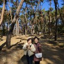 삼례초등학교 이미지