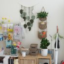 해빛5로 이미지