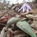 귀산주유소 이미지