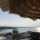 제주 반딧불 이미지