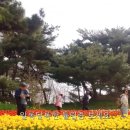 꽃지아라 이미지