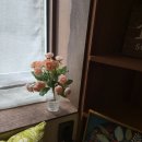 솔빛모텔 네이버블로그