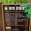 전나무길 이미지