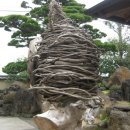 한일레포츠 이미지