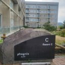 전동 | 휘닉스 아일랜드 제주 C동 오션뷰 vs 가든뷰 비교 , 전동카트 후기
