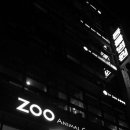 ZOO동물병원 이미지