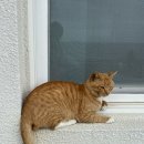 용한민박 이미지