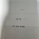 돈이가