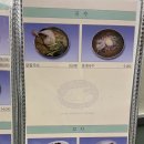 동명닭집고잔 이미지