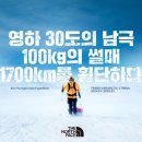 김영미