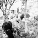 양산시청 서창동 주민자치센터 | 양산 공공근로 | 공공일자리, 고용센터, 단기알바, 2024년 상반기