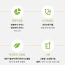 이담통상 이미지