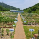 진주텃밭 이미지