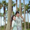 제주 모모루 네이버블로그