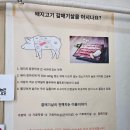 한국카본밀양 2공장 | 밀양 표충사 맛집 추천 아기와 함께 방문한 밀양 고기집 초지일관 솔직 후기