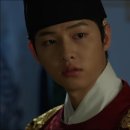 뿌리깊은 나무 이미지