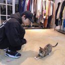 골드니스 이미지