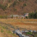 판교중앙부동산공인중개사사무소 이미지