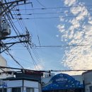 남해농산 | [남해군 여행 6편] 남해군 남해전통시장 &#34;남해시장회센터&#34; 내돈내산_ 모듬회 포장 후기