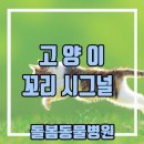 돌봄동물병원(나