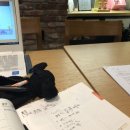 영어 스토리텔링(1기) 이미지