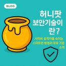 허니팟(honeypot)