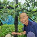 박종수농장 이미지