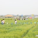 미성동-6 이미지