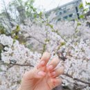 NR-3[동일로]-하-1014 | 벚꽃 그라데이션 네일 하고 온 후기 : 중화동 1014네일