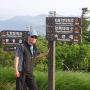 해인