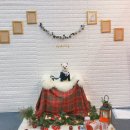 캣파라다이스 일산점 | 2017년 마지막 일산 케이펫페어 후기!