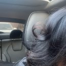 (주)미덴탈렙 | 제빵왕 송탁구 김쟁이 일상 _귀여운애 있는데 난 귀엽지가 않지_주간일기