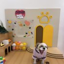 견생낙원 이미지