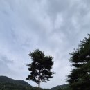 대영힐스CC 이미지