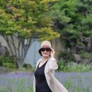 생애 첫👍 포천 허브아일랜드 혼자여행~!!🪻🪻🪻🪻 이미지