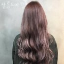 살롱드아월