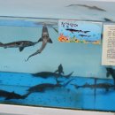 물고기마을 이미지